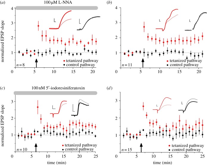 Figure 5.