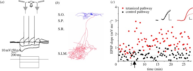 Figure 1.