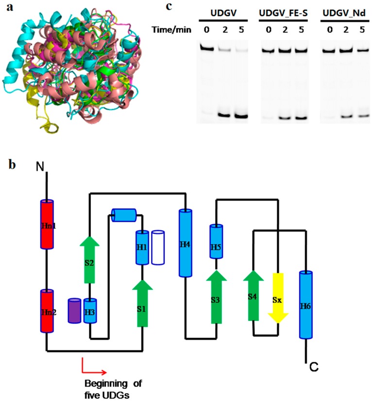 Figure 6