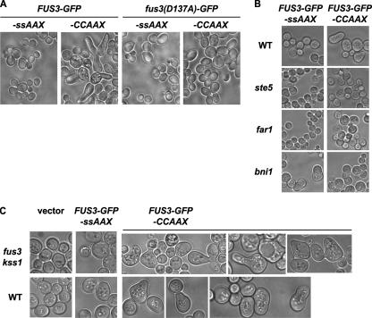 FIG. 9.