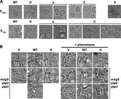 FIG. 8.