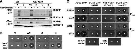 FIG. 7.