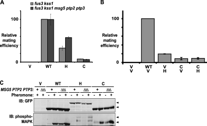 FIG. 6.