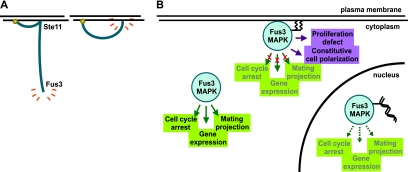 FIG. 14.