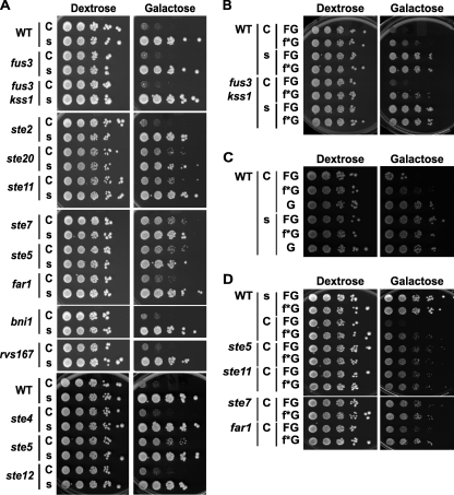 FIG. 13.