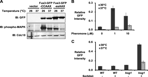 FIG. 11.