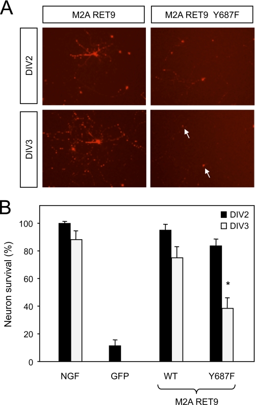 FIGURE 7.