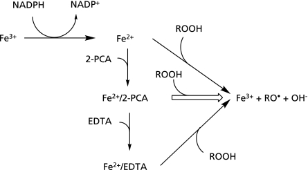 Fig. 14