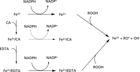 Fig. 13