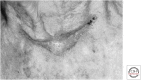 Figure 26.