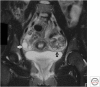 Figure 20.
