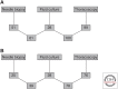 Figure 14.