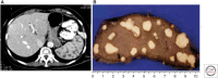 Figure 21.