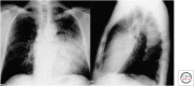Figure 8.