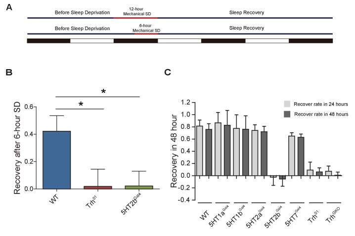 Figure 2—figure supplement 3.