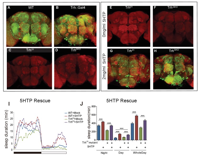 Figure 1—figure supplement 2.