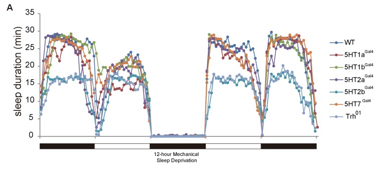 Figure 2—figure supplement 2.