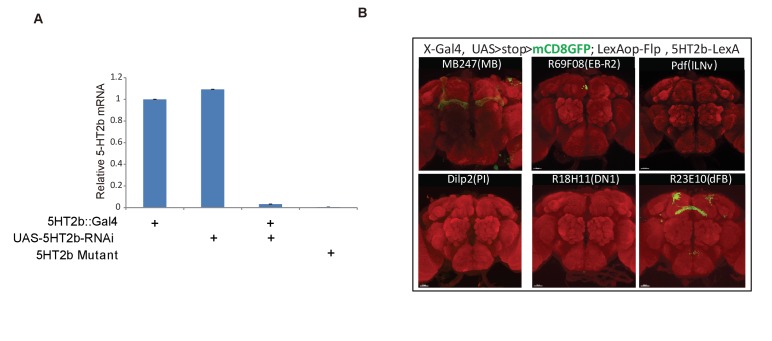 Figure 4—figure supplement 1.