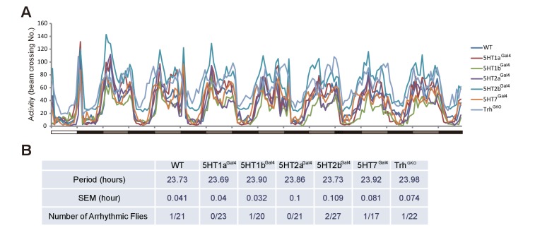 Figure 2—figure supplement 1.