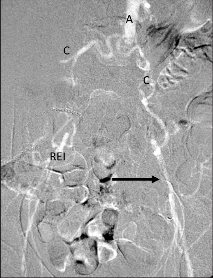 Fig. 3.