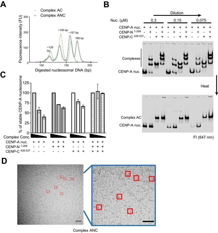 FIGURE 3: