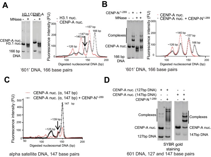 FIGURE 1: