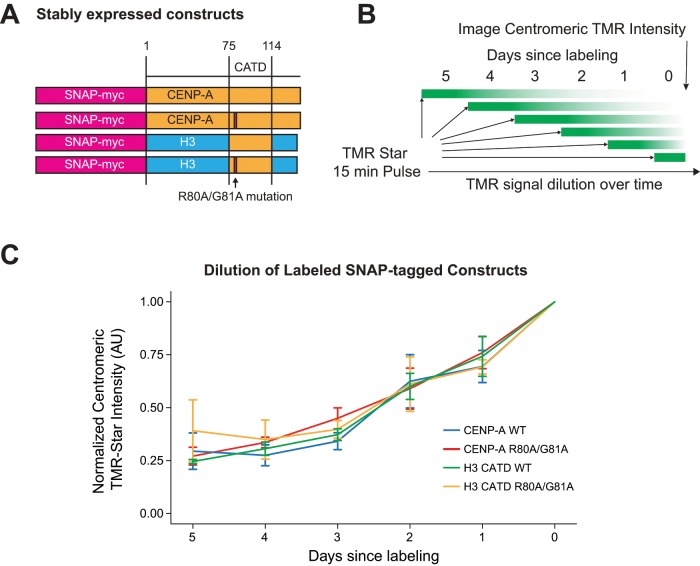 FIGURE 6: