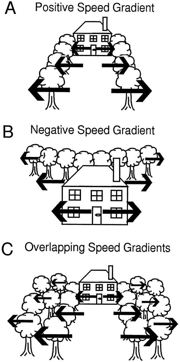 Fig. 14.