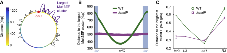 Figure 6