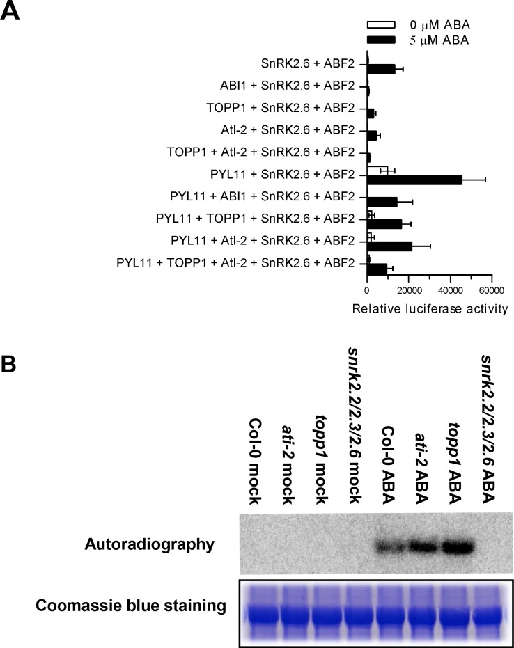 Fig 4