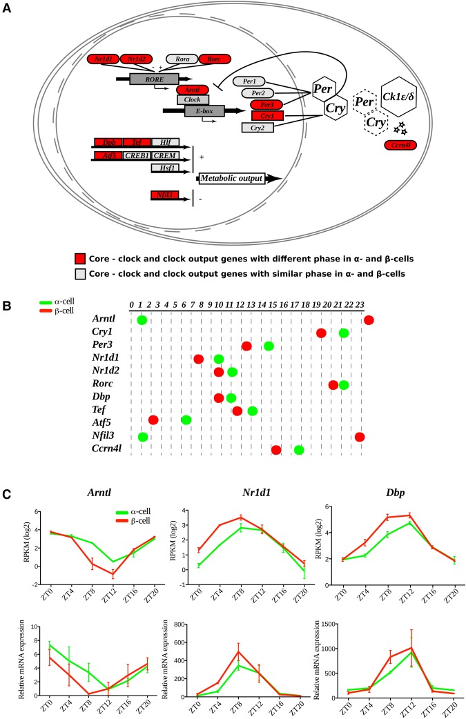 Figure 3.