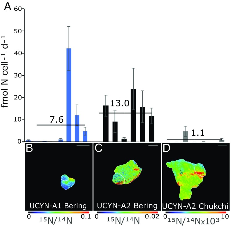 Fig. 4.