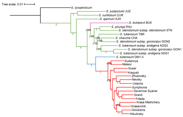 Figure 3