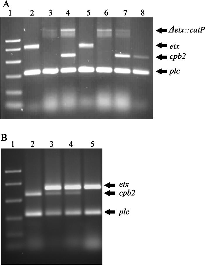 FIG. 2.