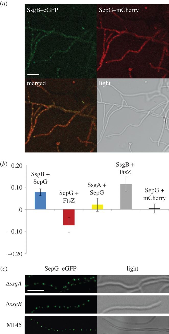 Figure 7.