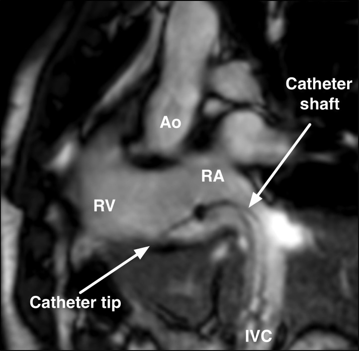 Figure 2: