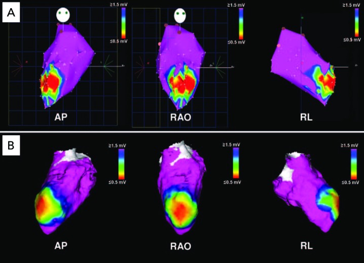 Figure 4: