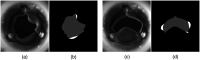 Fig. 10