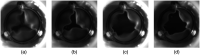 Fig. 14