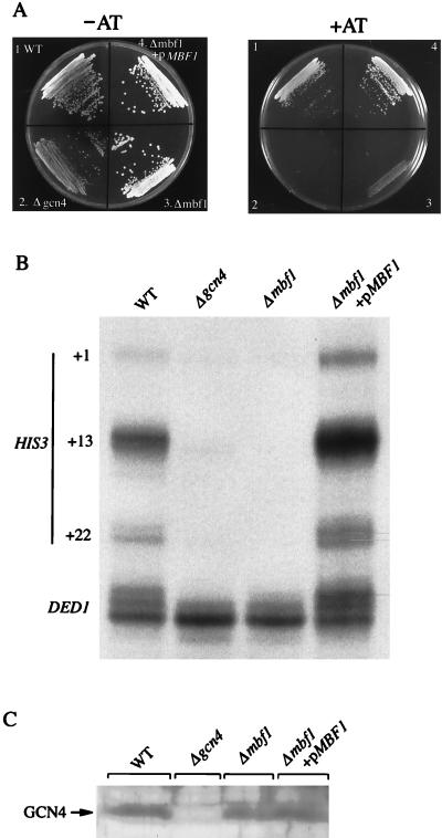 FIG. 1