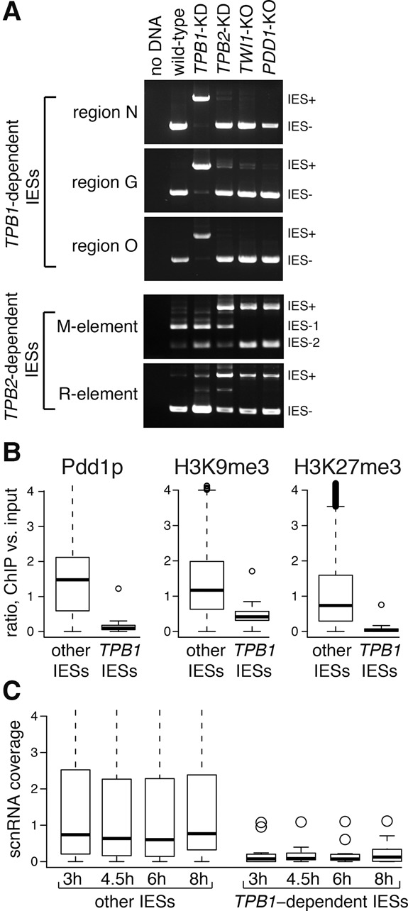 Figure 4.