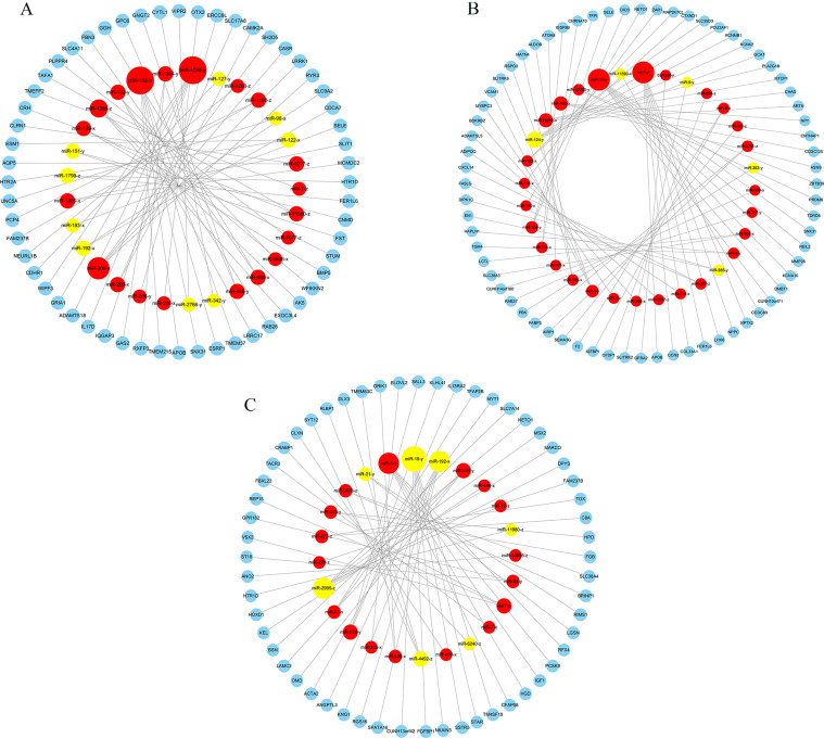 Fig 11