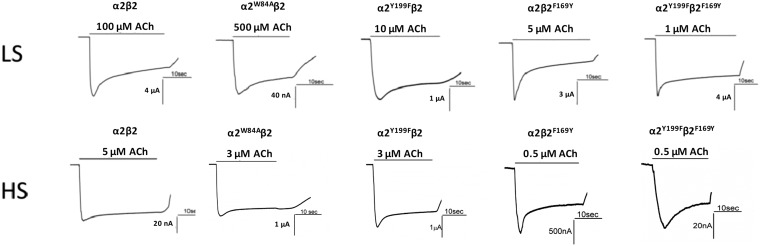 Fig. S3.