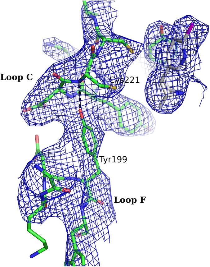 Fig. S4.