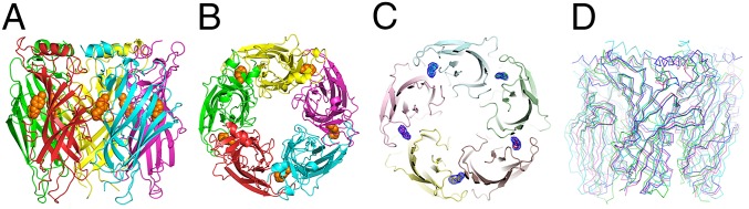 Fig. 1.