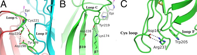 Fig. 6.