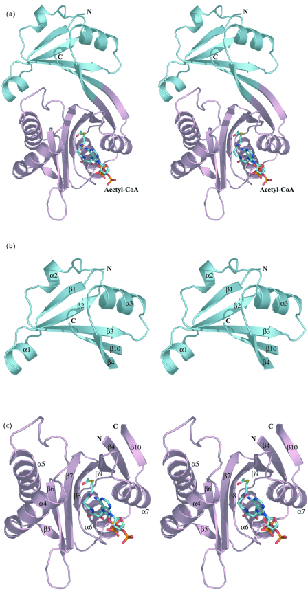 FIG.2.