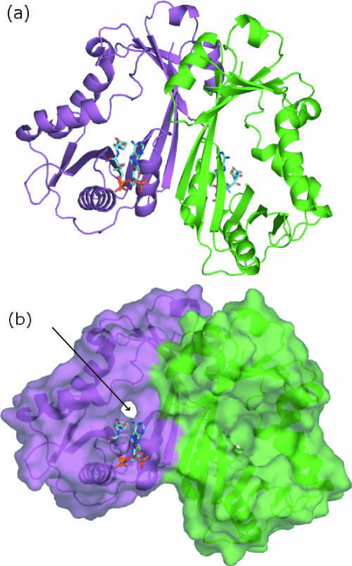 FIG. 3.