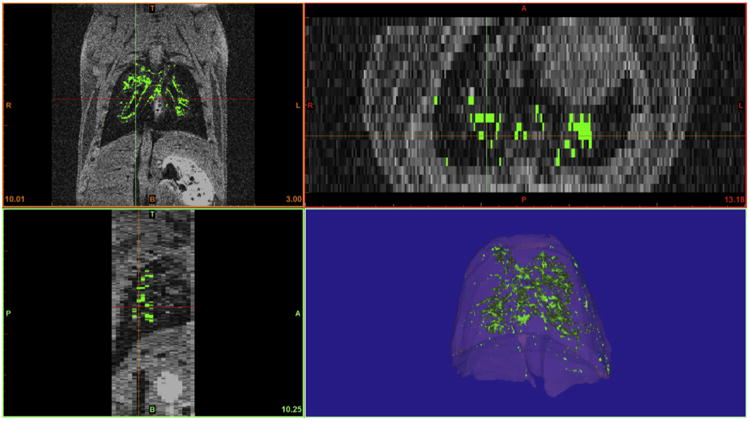 Fig. 7