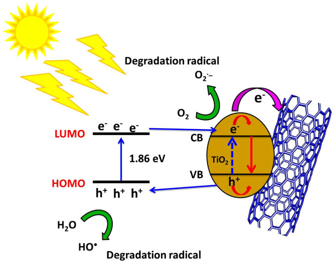 Figure 9